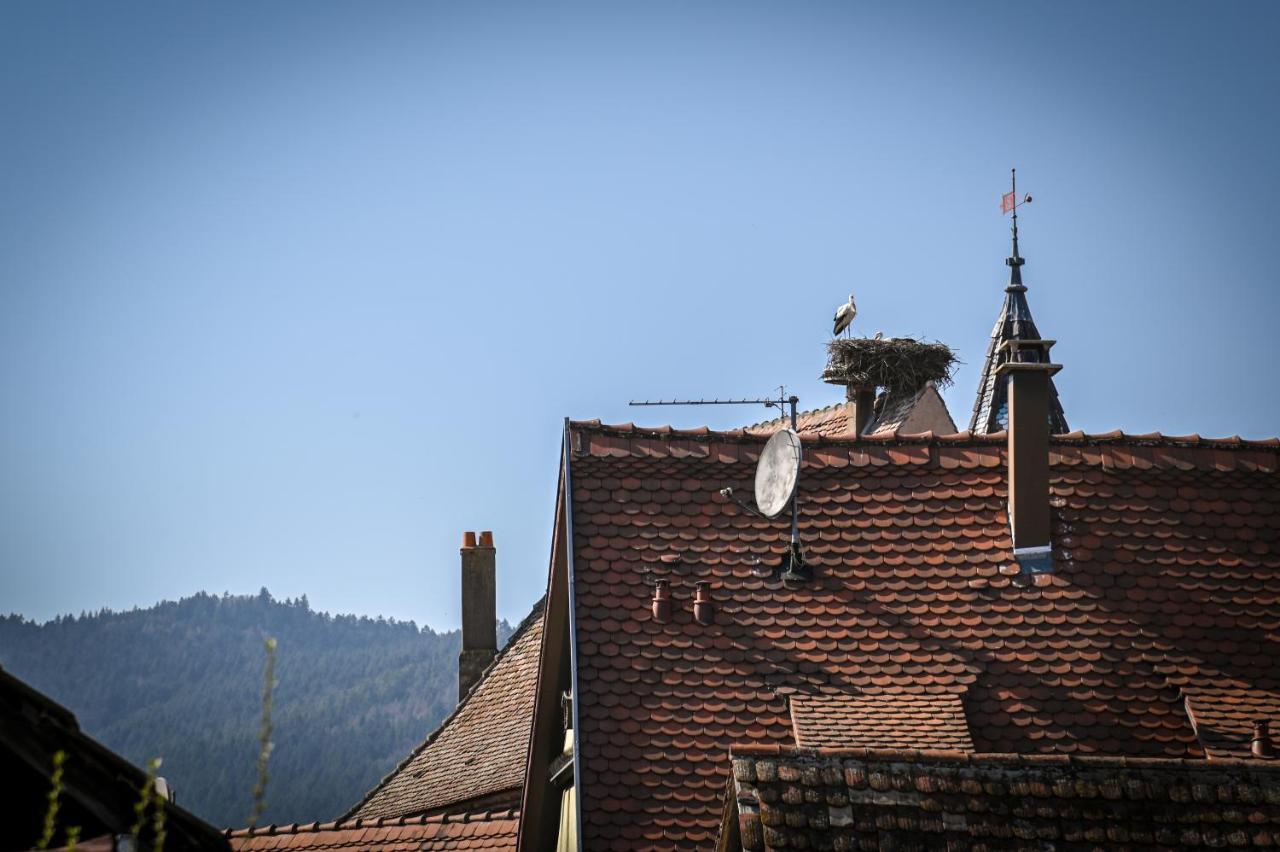 Le Hameau D'Eguisheim - Chambres D'Hotes & Gites المظهر الخارجي الصورة